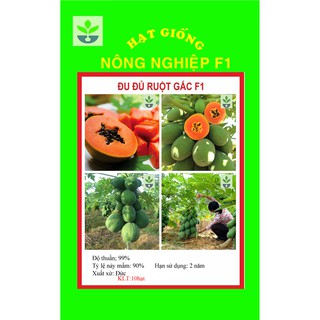 Goi 10 hạt giống đu đủ lùn ruột đỏ cao sản