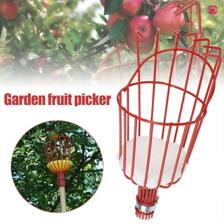 Dụng cụ hái trái cây tiện lợi
