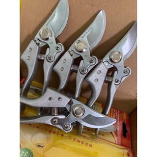 Kéo cắt cành Sk5