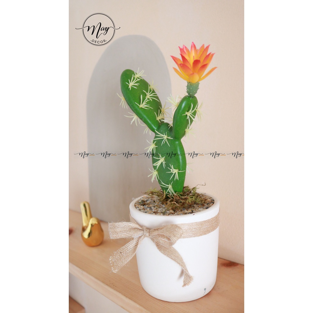 Cây giả,Chậu xương rồng giả trang trí nhà cửa