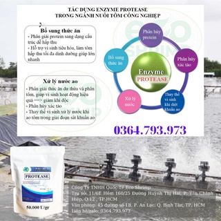 ENZYME PROTEASE Nguyên Liệu # Gói 1kg