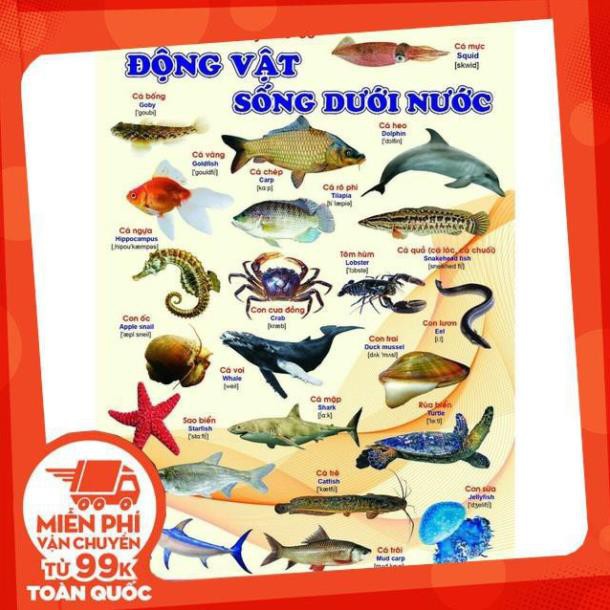 Tranh treo tường 5 chủ đề - 5 tờ 09