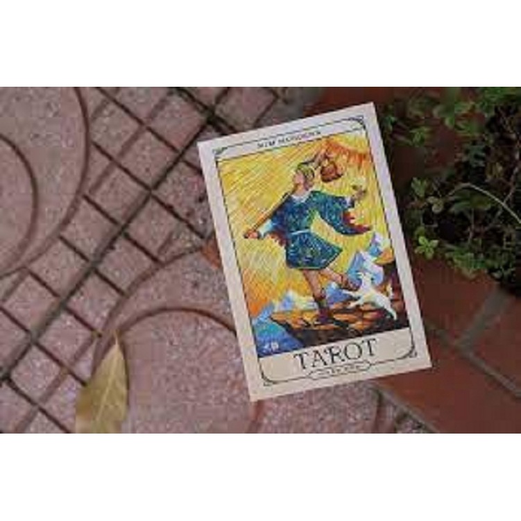 Sách - Tarot Nhập Môn (Tái Bản)