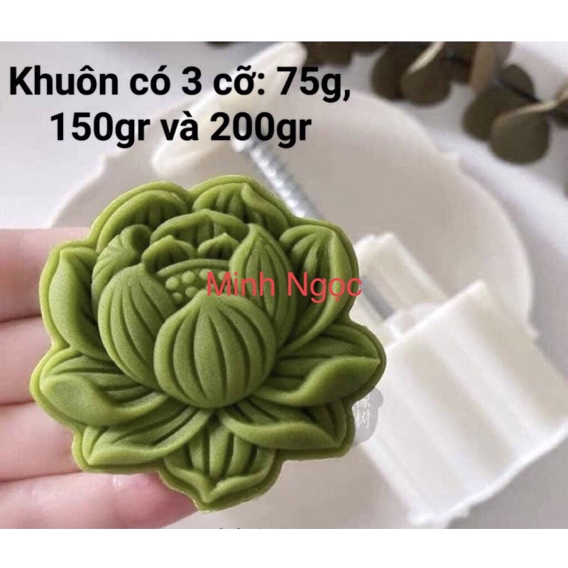 khuôn trung thu sen béo có 3 sz 75g, 150g và 200g
