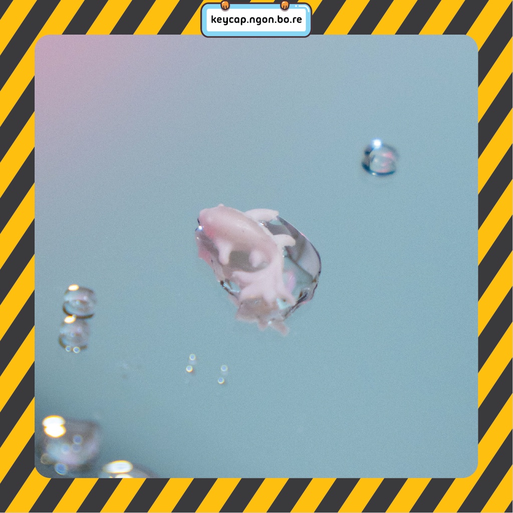 Mô hình Cá Koi Làm Keycap