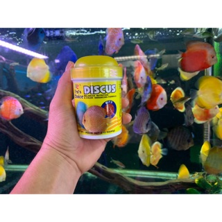 Thức ăn cho cá Dĩa