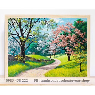 D277 Tranh tô màu theo số sơn dầu số hóa ARTSHOP đã căng khung sẵn và dầu phủ bóng