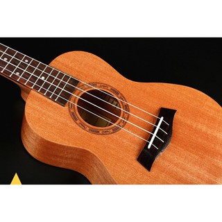 Đàn Ukulele soprano gỗ trơn BWS