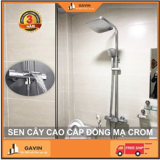 Sen cây cao cấp đồng mạ crom mẫu mới