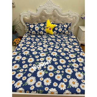 Sét ga gối cotton 100% Hàn Quốc