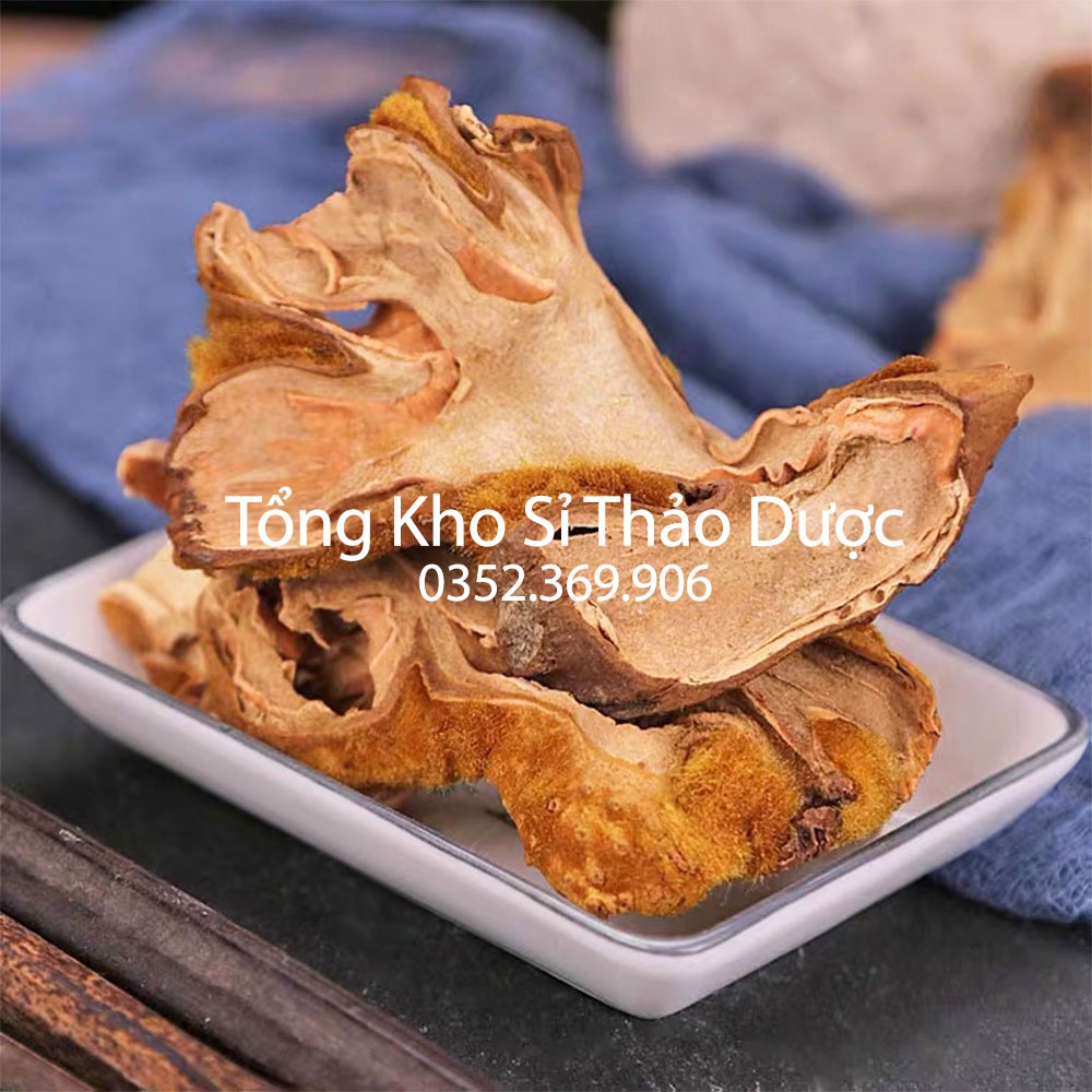 Cẩu tích chưa chế 500g (Cây lông culi giảm tiểu đêm, mạnh gân cốt)