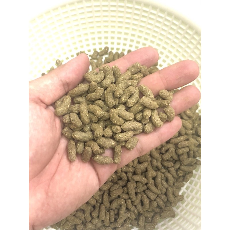 KAMA Thức Ăn Cho Rùa Cạn 1 kg, 2 kg Bịch Nguyên Seal