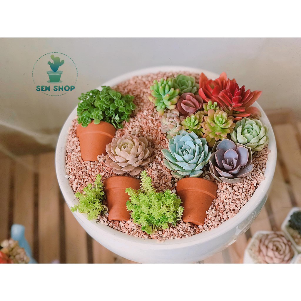 Sỏi trang trí chậu cây, bể cá .
