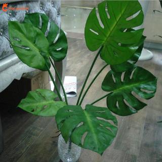 Cây cảnh giả bằng nhựa dùng trang trí vườn tiện dụng