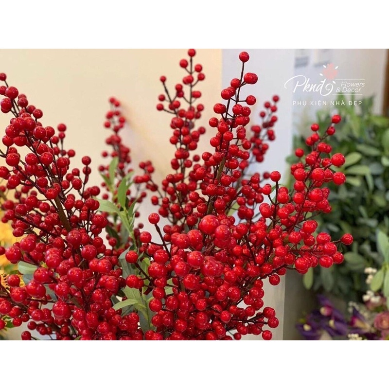 Hoa Giã chưng Tết