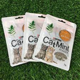 cỏ bạc hà cho mèo dang gói 5g