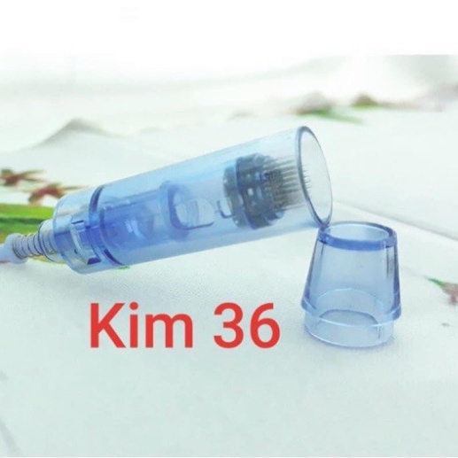 1 Đầu máy lăn kim cho máy DR PEN A1-A6