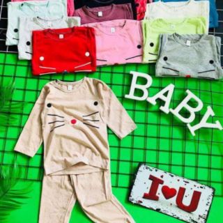Combo 4 Bộ cotton mèo