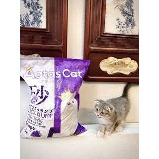 Cát vệ sinh cho mèo Aatas Cat 10L cao cấp