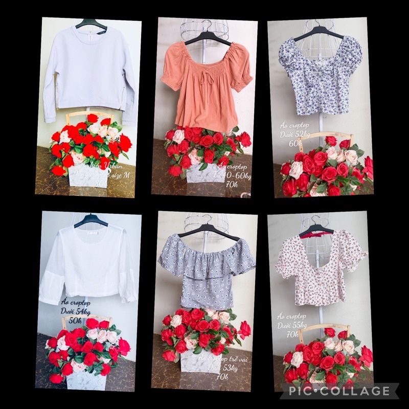 Áo vin dáng croptop