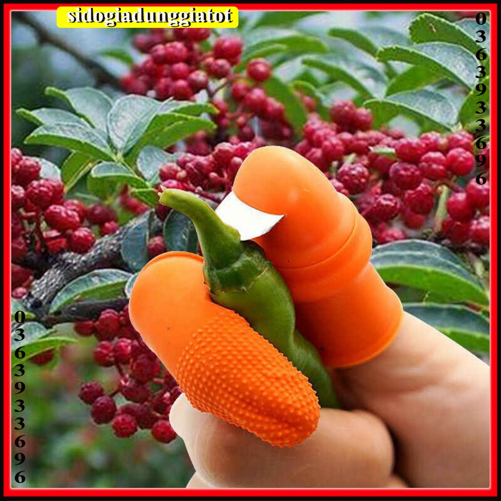 Ngón cái bấm cắt rau củ - nạo gọt tiện lợi chống bẩn móng tay - SĐGDGT