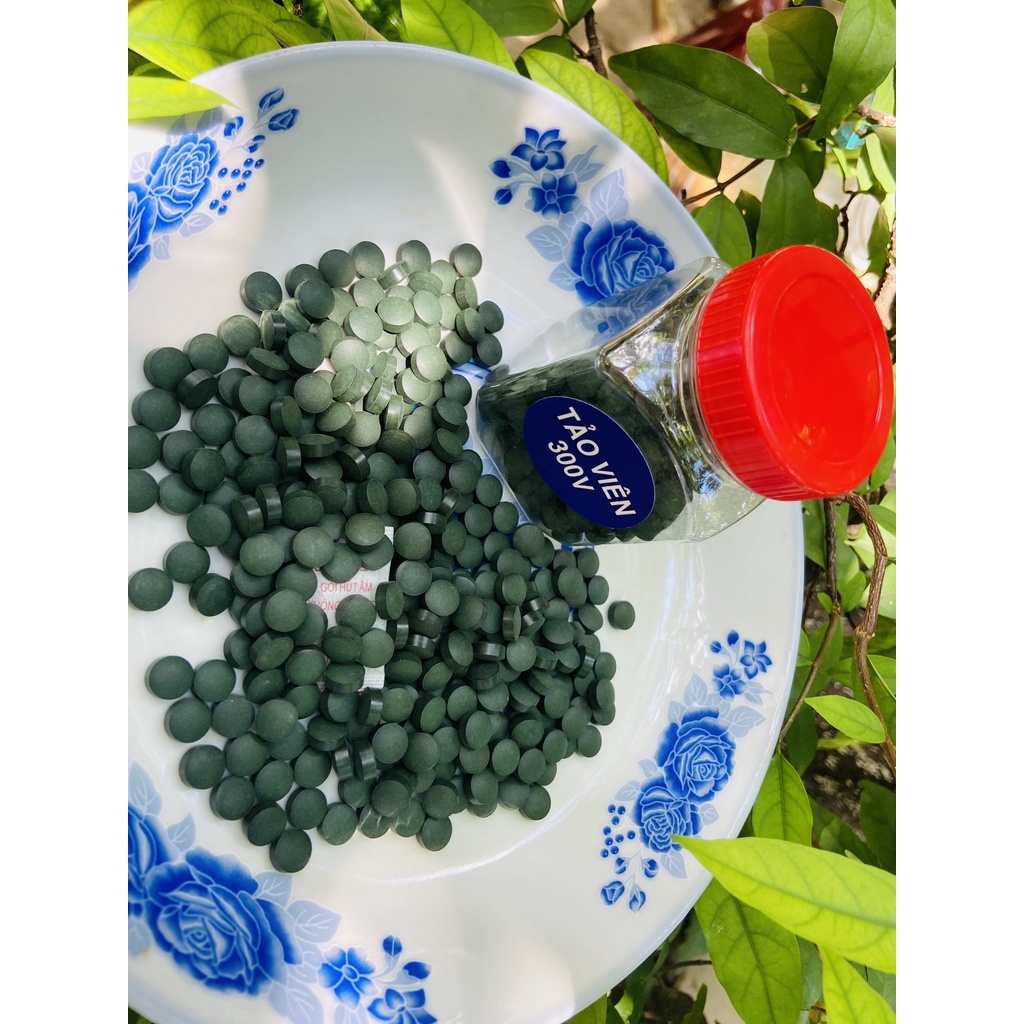 Tảo Viên - Thức Ăn Nuôi Artemia Cá Tép Cảnh 50G-100G