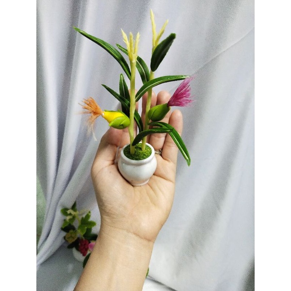 Combo 3 chậu hoa mini cao 14cm đến 15cm