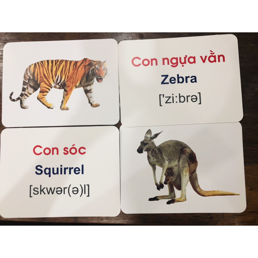 Bộ Thẻ Học Thông Minh 19 Chủ Đề Loại To Song ngữ tiếng Anh loại chuẩn Glenn Doman Flashcard cho bé từ 0-6 tuổi