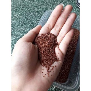 hạt ngũ hoa đắp mặt