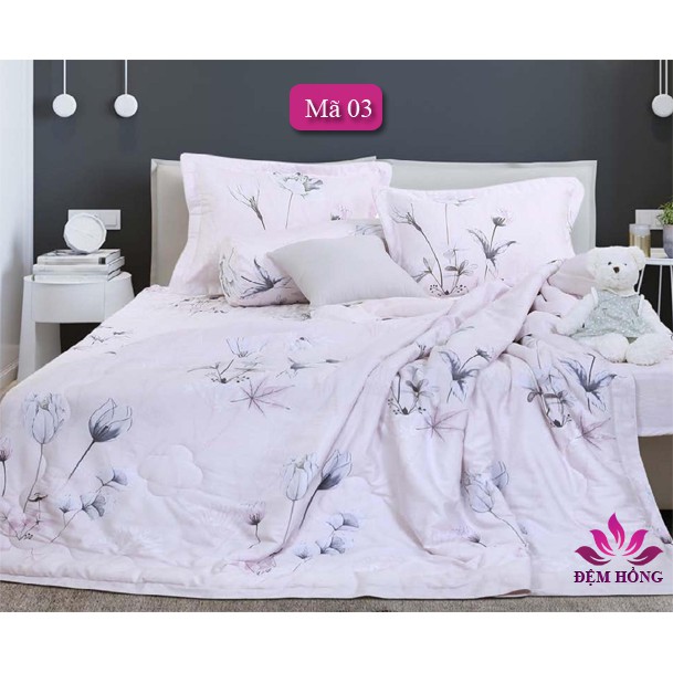 Chăn hè thu Sông Hồng 200x220cm dòng Rayon sợi gỗ tự nhiên mềm mịn mát