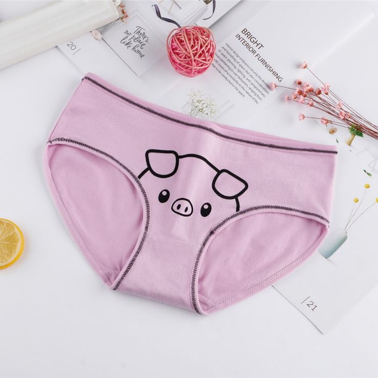 Quần lót nữ cotton kháng khuẩn hình thú, đồ lót nữ đáng yêu | BigBuy360 - bigbuy360.vn