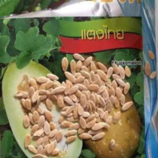 Hạt giống dưa bở thơm Thái Lan