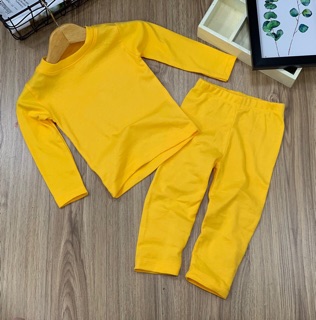 bộ đồ bé  thun cotton 4 chiều