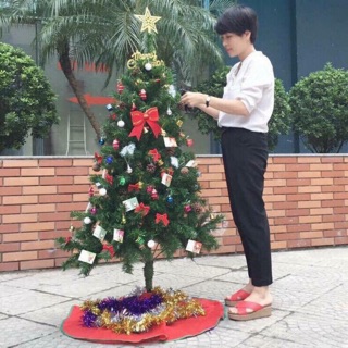 Cây thông noel