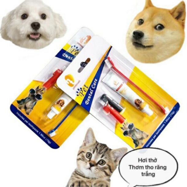 Bộ Đánh Răng Kem Đánh Răng Bàn Chải Đánh Răng Chó Mèo Pet Joothpaste - Lida Pet Shop