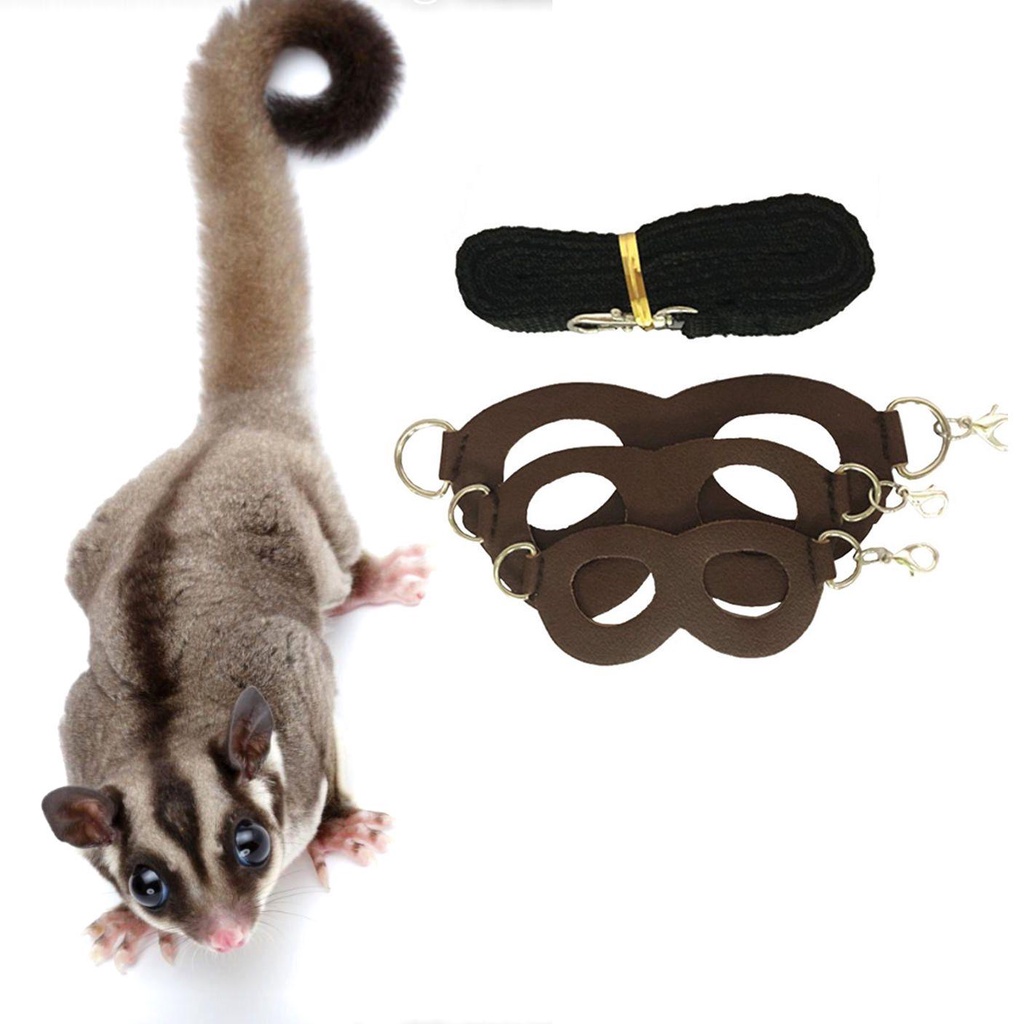 Dây Dắt Thú Cưng Đi Dạo 3 Kích Cỡ Tùy Chỉnh Chống Thắt Nút Tiện Dụng