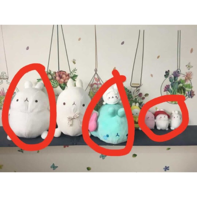 Combo gấu bông molang