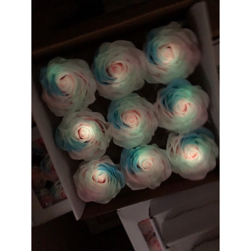 Hoa sáp cầu vồng phát sáng