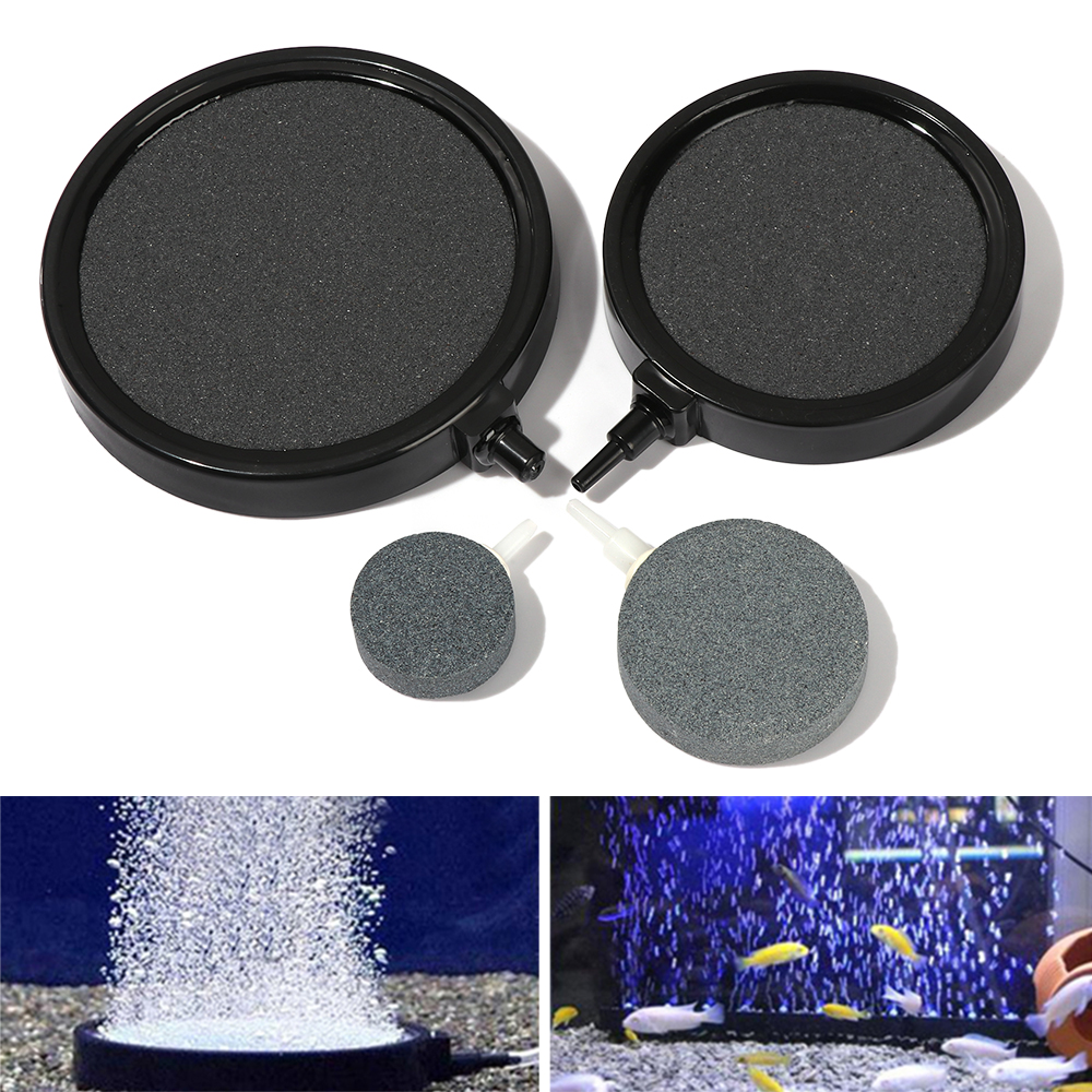 Thiết Bị Sục Khí Oxy Cho Bể Cá Cảnh