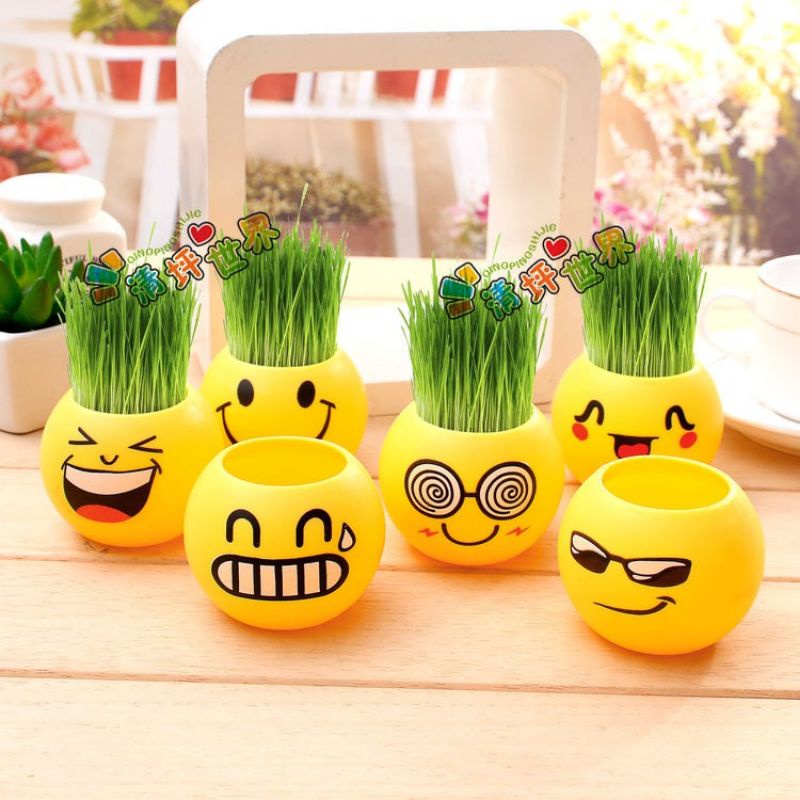 Combo 10 chậu tròn cỏ tóc xinh xắn, không tặnh kèm hạt cỏ tóc và đất