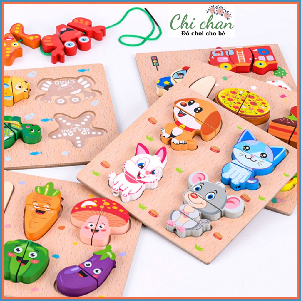 Đồ chơi gỗ xếp hình 3D kiêm luồn dây luyện kỹ năng cho bé, montessori, đồ chơi giáo dục - Chi chan 011