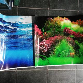 Tranh hồ cá cao 50cm