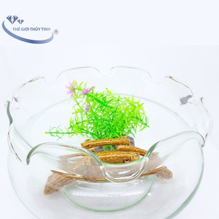 Bể Cá Mini Thủy Tinh Hồ Cá Miệng Bèo To ( Tặng kèm combo 2 phụ kiện trang trí )