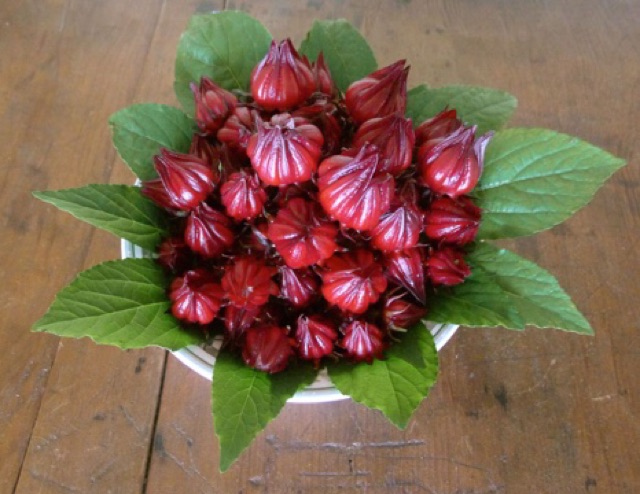 [GIÁ TỐT] TRÀ HOA DÂM BỤT (HIBISCUS - ATISO ĐỎ) KHÔ - 1KG