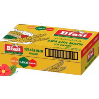 Sữa lúa mạch Bfast Canxi 180ml - 48 hộp/T