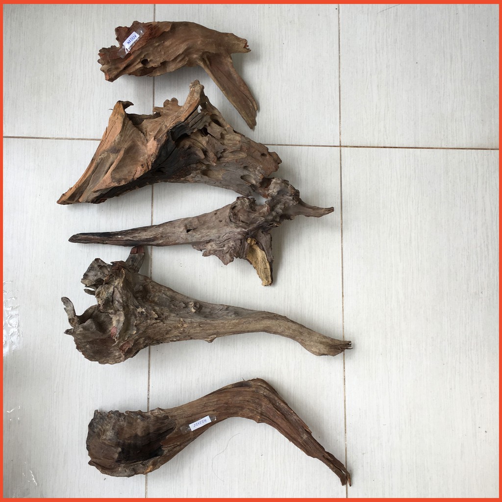 Gỗ lũa thủy sinh, gỗ lũa hồ cá, lũa thô, bán cạn loại lớn
