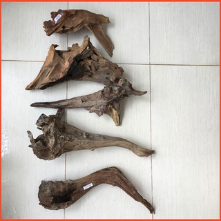 Gỗ lũa thủy sinh, gỗ lũa hồ cá, lũa thô, bán cạn loại lớn