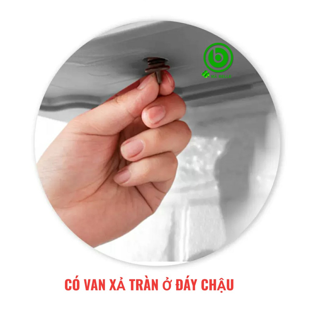 Chậu treo ban công, chậu gắn tường tự tưới thông minh