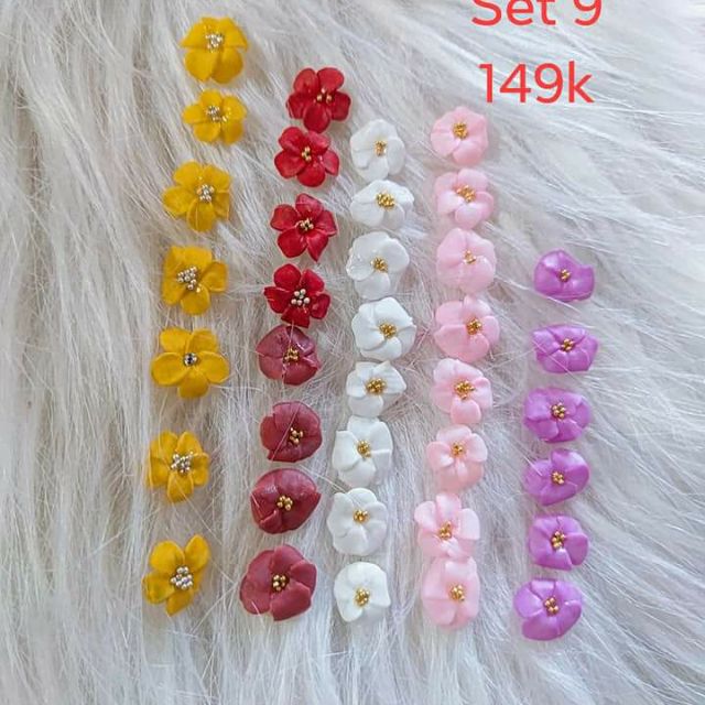 Sét 37 hog đậu 148k