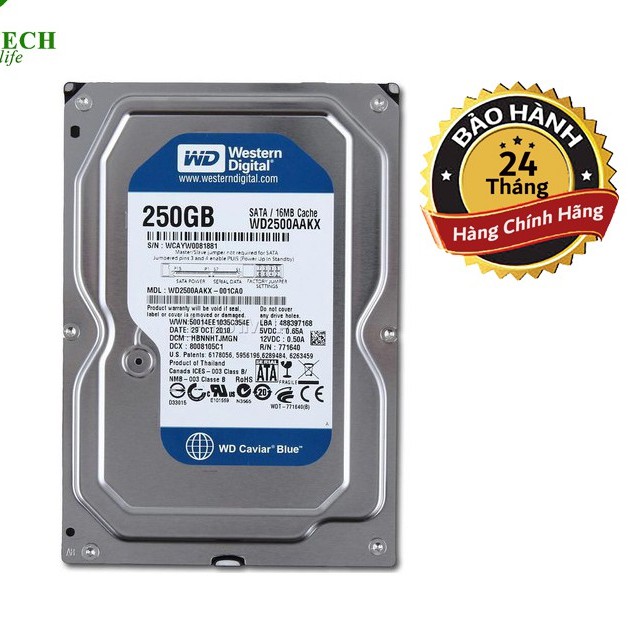 Ổ cứng Western Digital Caviar Blue 250GB SATA 16MB Cache - Bảo hành 1 tháng